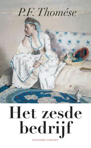 Cover of the book Het zesde bedrijf by Toine Heijmans