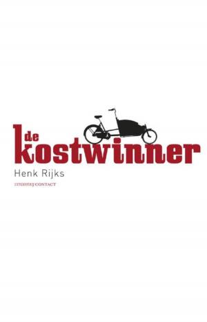 Cover of the book De kostwinner by Ìngeborg Bosch