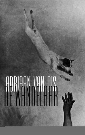 Cover of the book De wandelaar by Jeroen Brouwers