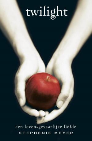 Cover of the book Twilight by Emilie Sobels, Martje Haverkamp