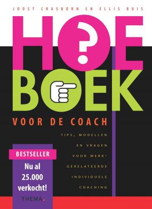 Cover of the book HOE-BOEK voor de coach by Wilmar Schaufeli, Pieternel Dijkstra