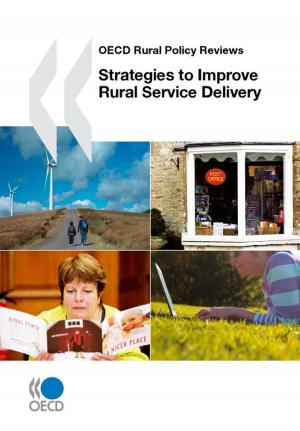 bigCover of the book Strategies to Improve Rural Service Delivery by 