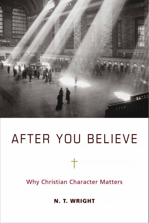Cover of the book After You Believe by N. T. Wright, HarperOne
