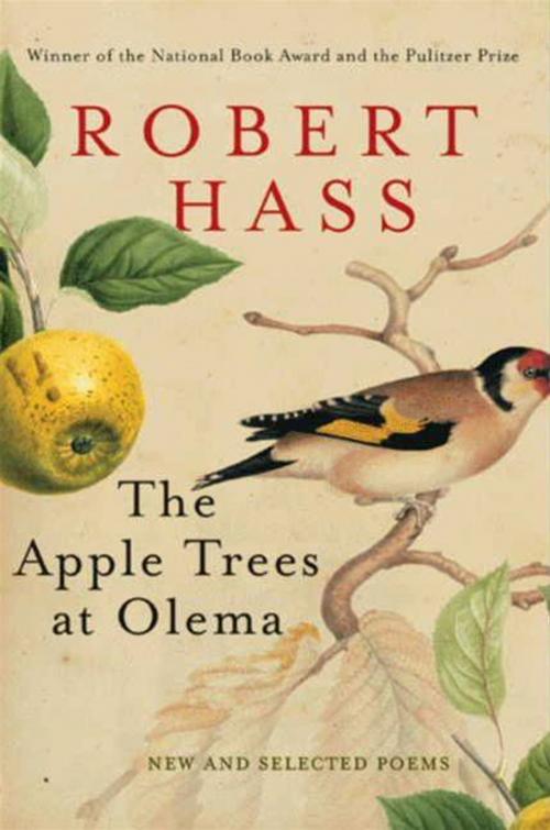 Cover of the book The Apple Trees at Olema by Robert Hass, HarperCollins e-books