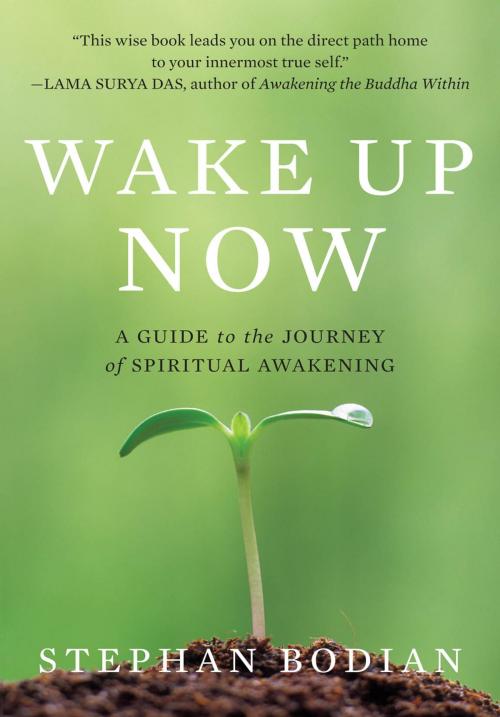 Cover of the book Wake Up Now by Stephan Bodian, Mcgraw-hill