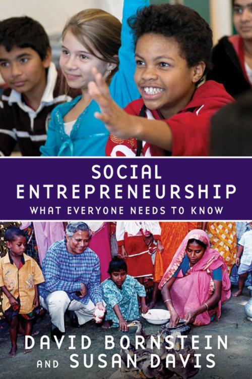 Cover of the book Social Entrepreneurship:What Everyone Needs to Know by David Bornstein, Susan Davis, Oxford University Press, USA
