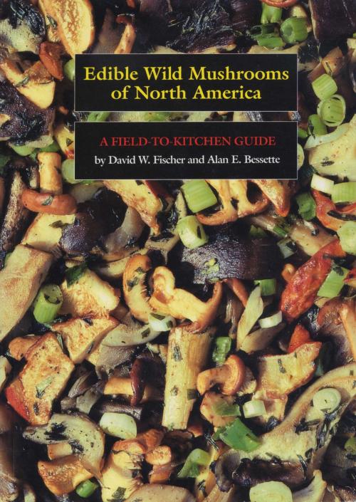 Cover of the book Edible Wild Mushrooms of North America by David W. Fischer, Alan E. Bessette, University of Texas Press