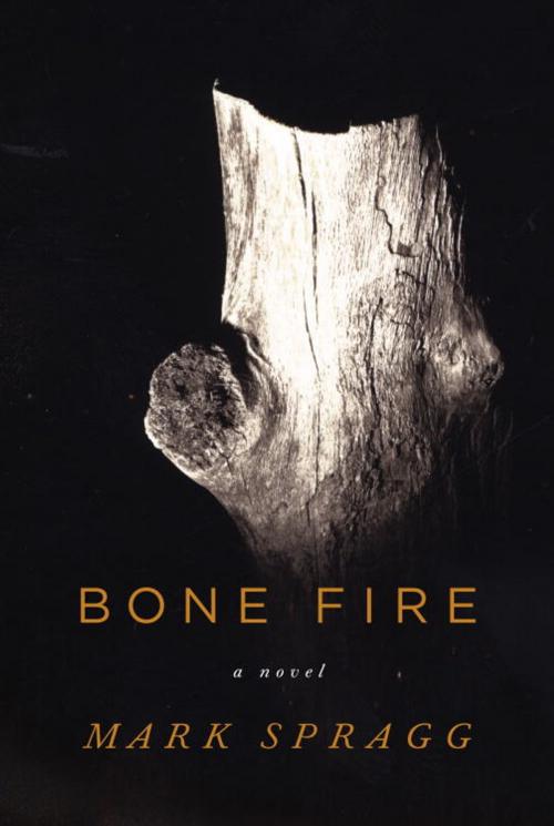 Cover of the book Bone Fire by Mark Spragg, Knopf Doubleday Publishing Group