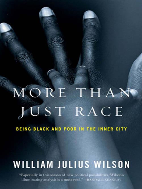 Cover of the book More than Just Race: Being Black and Poor in the Inner City (Issues of Our Time) by William Julius Wilson, W. W. Norton & Company