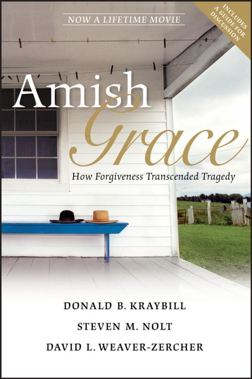 Cover of the book Amish Grace by Donald B. Kraybill, Steven M. Nolt, David L. Weaver-Zercher, Wiley