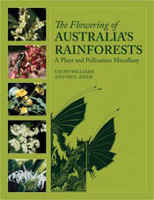 Cover of the book The Flowering of Australia's Rainforests by Geoff Williams, Paul Adam, CSIRO PUBLISHING