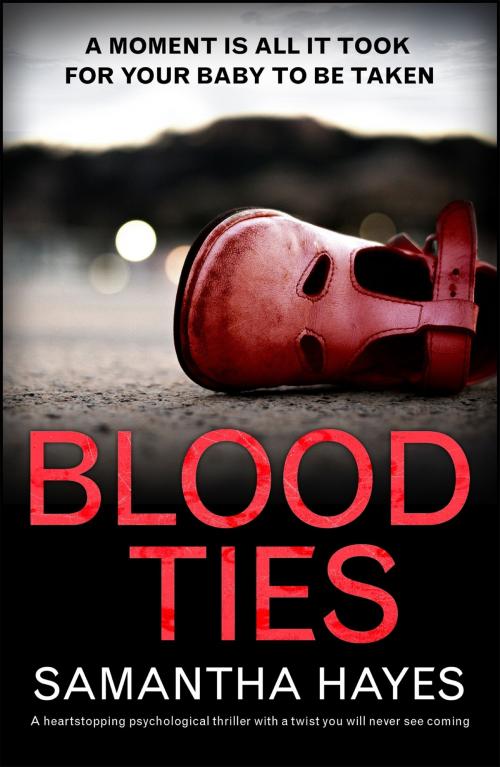 Cover of the book Blood Ties: A heartstopping psychological thriller with a twist you will never see coming by Samantha Hayes, Headline