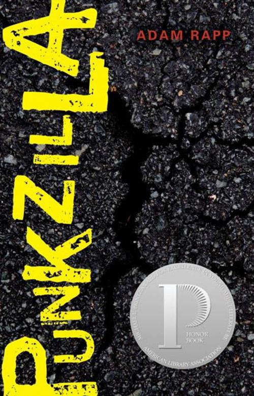 Cover of the book Punkzilla by Adam Rapp, Candlewick Press