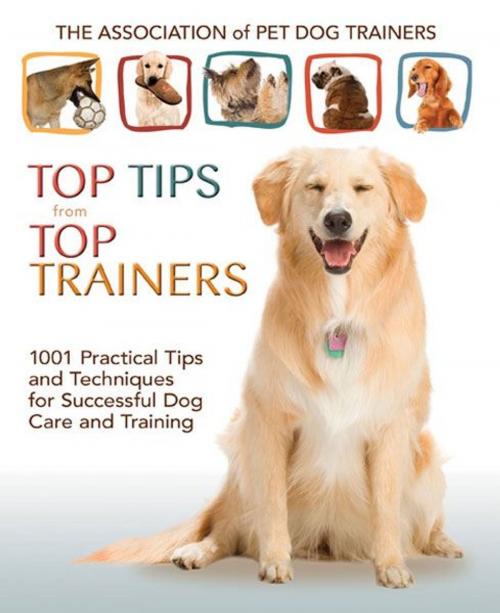 Cover of the book Top Tips From Top Trainers by APDT Members, TFH Publications, Inc.