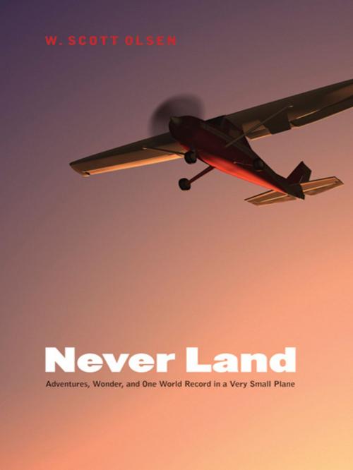 Cover of the book Never Land by W. Scott Olsen, UNP - Nebraska