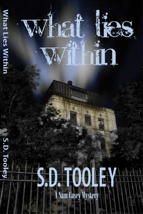 Cover of the book What Lies Within by S.D. Tooley, Full Moon Publishing LLC