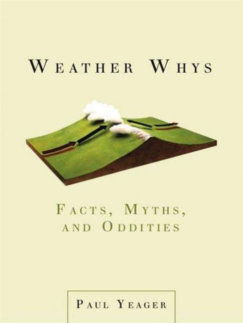 Cover of the book Weather Whys by Paul Yeager, Penguin Publishing Group