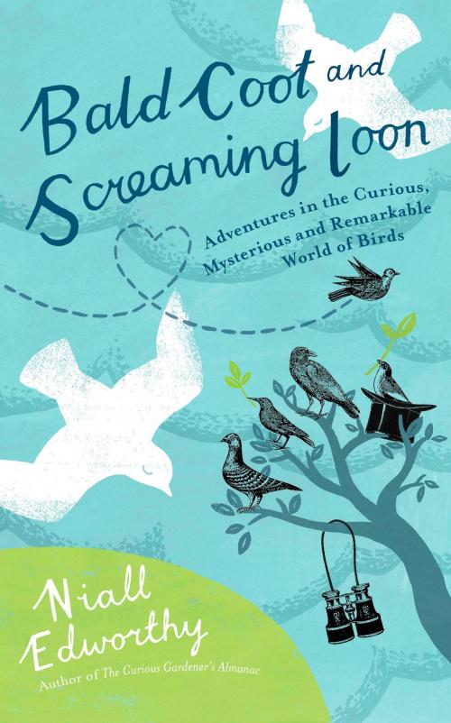 Cover of the book Bald Coot and Screaming Loon by Niall Edworthy, Penguin Publishing Group