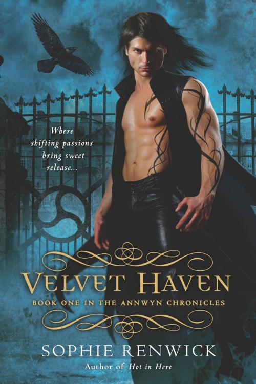 Cover of the book Velvet Haven by Sophie Renwick, Penguin Publishing Group