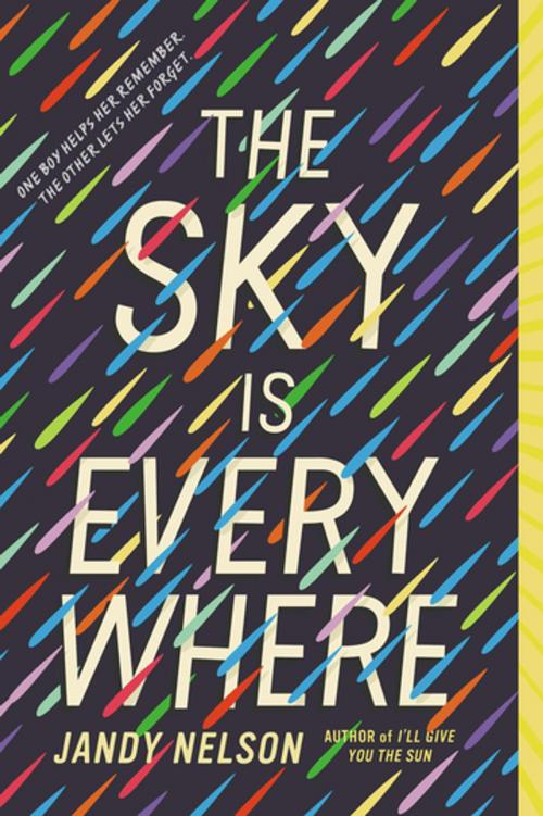 Cover of the book The Sky Is Everywhere by Jandy Nelson, Penguin Young Readers Group