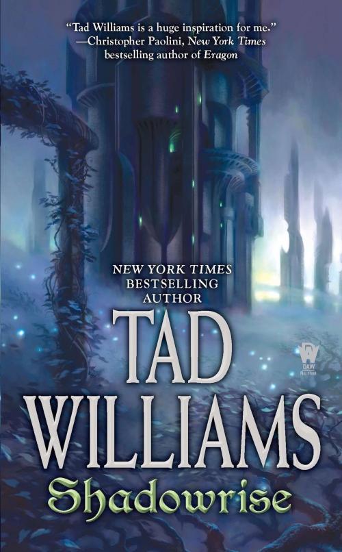 Cover of the book Shadowrise by Tad Williams, DAW