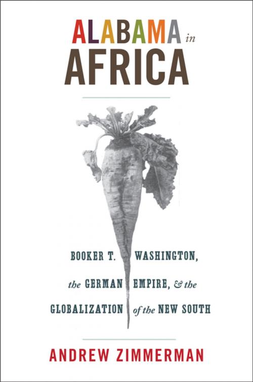 Cover of the book Alabama in Africa by Andrew Zimmerman, Princeton University Press