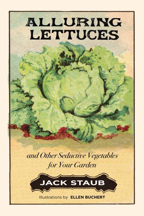 Cover of the book Alluring Lettuces by Jack Staub, Gibbs Smith