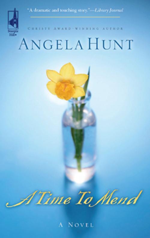Cover of the book A Time to Mend by Angela Hunt, Steeple Hill