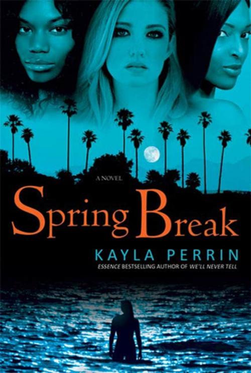 Cover of the book Spring Break by Kayla Perrin, St. Martin's Press