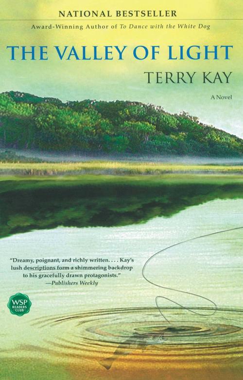 Cover of the book The Valley of Light by Terry Kay, Washington Square Press