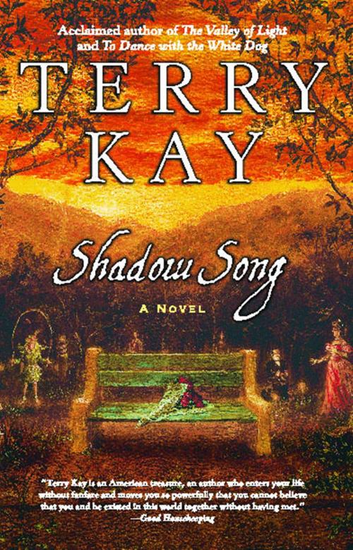 Cover of the book Shadow Song by Terry Kay, Washington Square Press