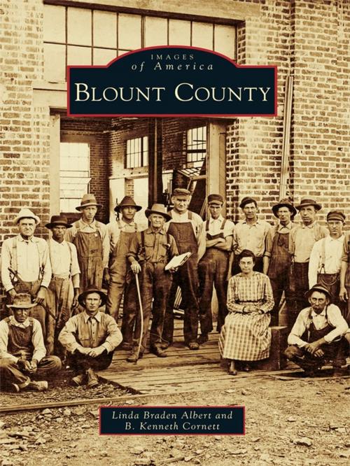Cover of the book Blount County by Linda Braden Albert, B. Kenneth Cornett, Arcadia Publishing Inc.