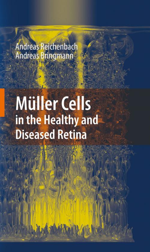 Cover of the book Müller Cells in the Healthy and Diseased Retina by Andreas Reichenbach, Andreas Bringmann, Springer New York