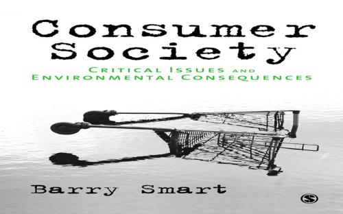Cover of the book Consumer Society by Professor Barry Smart, SAGE Publications