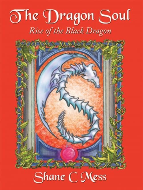 Cover of the book The Dragon Soul by Shane C Mess, AuthorHouse
