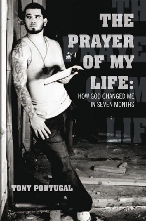 Cover of the book The Prayer of My Life:How God Changed Me in Seven Months by Tony Portugal, Xlibris US