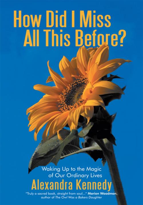 Cover of the book How Did I Miss All This Before? by Alexandra Kennedy, iUniverse