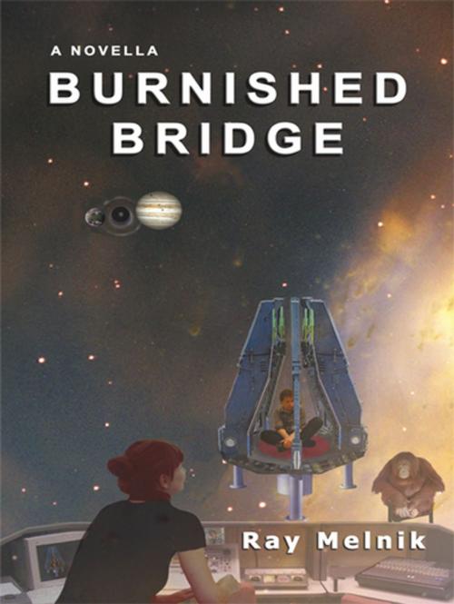 Cover of the book Burnished Bridge by Ray Melnik, iUniverse