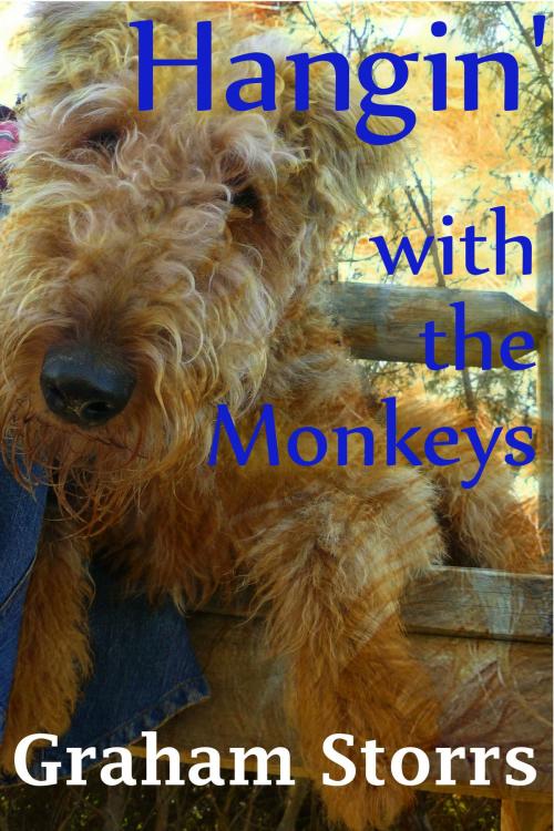 Cover of the book Hangin' With the Monkeys by Graham Storrs, Graham Storrs