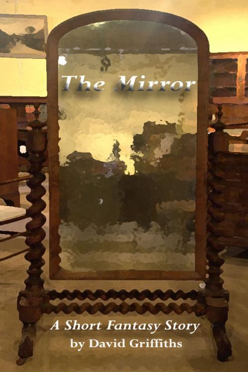 Cover of the book The Mirror by David Griffiths, David Griffiths