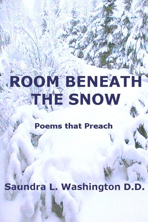 Cover of the book Room Beneath the Snow by Saundra L. Washington D.D., Saundra L. Washington D.D.