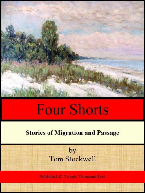 Cover of the book Four Shorts by Tom Stockwell, Tom Stockwell