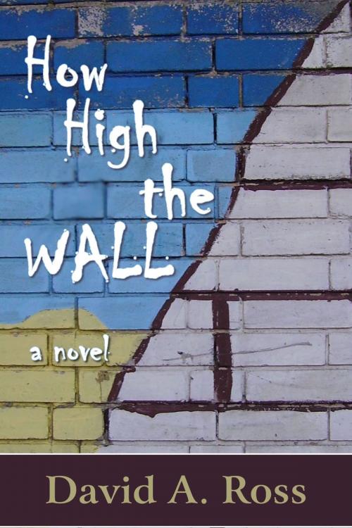 Cover of the book How High The Wall: A Novel by David A. Ross, Open Books