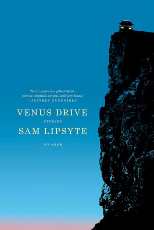 Cover of the book Venus Drive by Sam Lipsyte, Picador