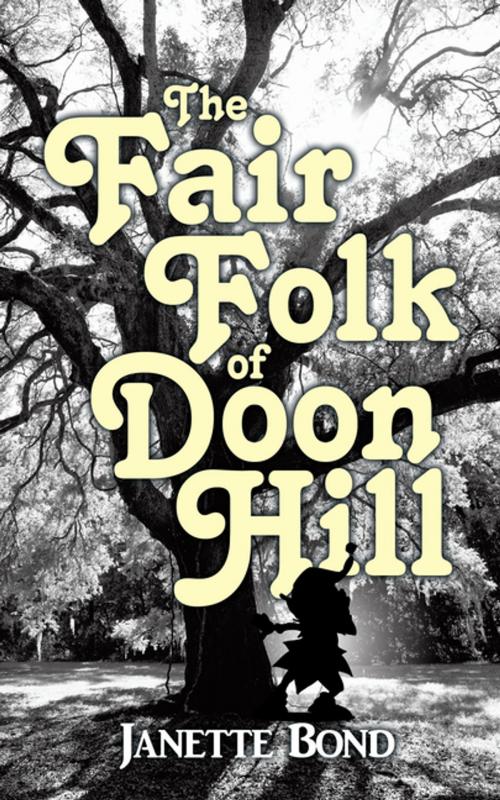 Cover of the book The Fair Folk of Doon Hill by Janette Bond, AuthorHouse UK