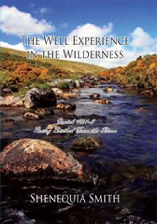 Cover of the book The Well Experience in the Wilderness by Shenequia Smith, Xlibris US