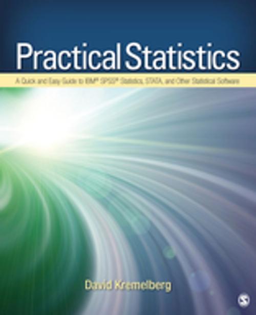 Cover of the book Practical Statistics by David Kremelberg, SAGE Publications