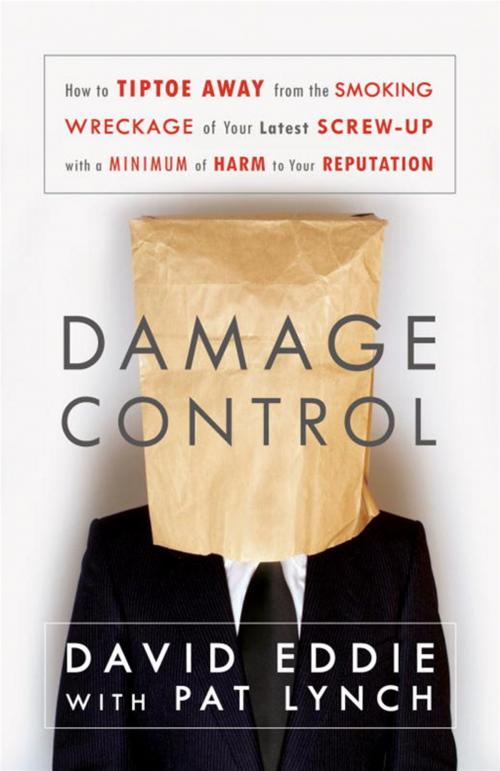 Cover of the book Damage Control by David Eddie, Pat Lynch, McClelland & Stewart