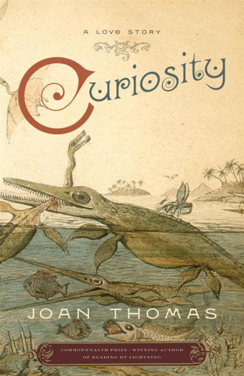 Cover of the book Curiosity by Joan Thomas, McClelland & Stewart