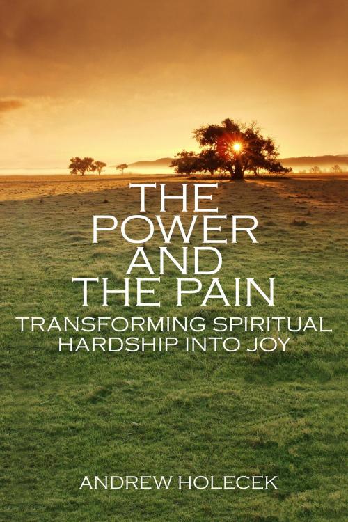 Cover of the book The Power and the Pain by Andrew Holecek, Shambhala
